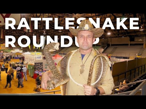 🐍 The World’s Largest Rattlesnake Roundup | Sweetwater, Texas 🏜️
