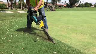 Golf course green maintenance: aggressive tree roots damage greens