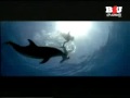 BLUE AAJ DIL FULL ORIGINAL SONG NEW VERSION MUSIC VIDEO HQ FT SEXY LARA DUTTA SANJAY DUTT