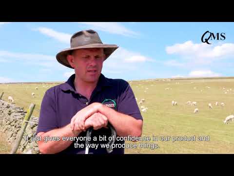 Barnside Farm Scottish Sheep Farm of the Year 2017/2018