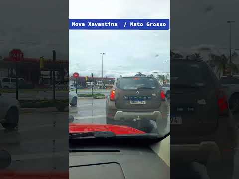 Nova Xavantina  / Mato Grosso