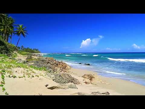 Olas del Paraíso   Playa Hermosa con Sonidos Relajantes del Mar sin Música