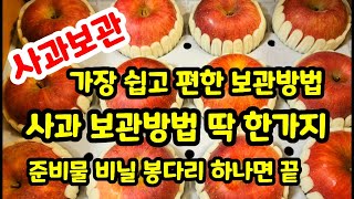 사과 보관방법 가장 쉽고 편한 사과보관방법