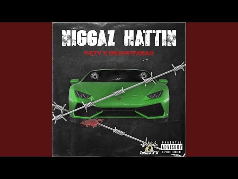 Niggaz Hattin (feat. Db Boutabag)