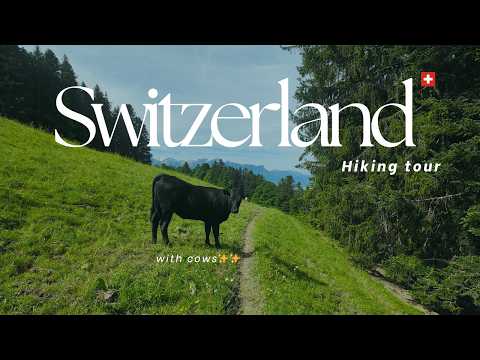 Switzerland Hiking Tour: Peaceful Walk with Cows & Scenic Views | Les Pléiades to Blonay