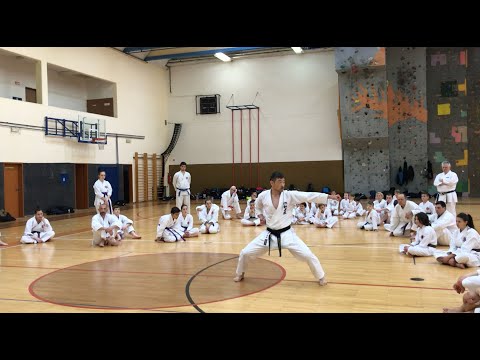 Kancho Nobuaki Kanazawa 8.DAN, kata Heian Sandan (SKIF)