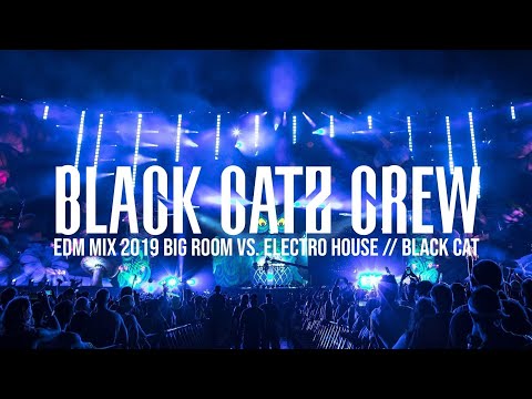 BIG ROOM VS. ELECTRO HOUSE Mix 2019 [BCC007] // EDM Music EDIT // Mixed by BLACK CAT