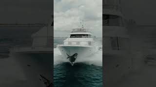 VIDEO Hlsxg9kNTLA