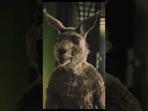 Flachwitze 032 #renitschki #flachwitze #spaß #humor #flacherhumor #flachwitz #sprüche