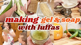 TRYING TO MAKE HAIR GEL & HAND SOAP FROM GREEN LUFFA PULP (EXPERIMENTING WITH LUFFAS)