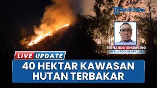 Dalam 2 Bulan, 40 Ha Hutan di Kabupaten Kampar Terbakar, Karhutla di Dekat Pekanbaru Belum Teratasi