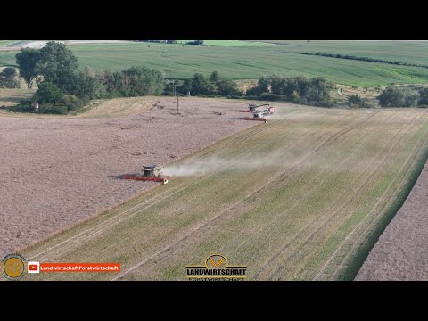 Die neue CLAAS Lexion Mähdrescher Generation 2026 3 Lexion 8600 beim Raps Dreschen Agrar Lübbersruh
