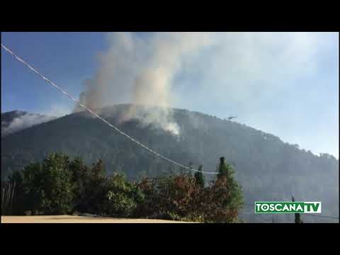 2019-06-21 TOSCANA - INCENDI, SCATTA DIVIETO ACCENSIONE FUOCHI FINO 31 8