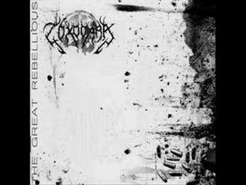 Toxocara - The Connate Conflict