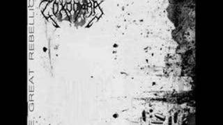 Toxocara - The Connate Conflict