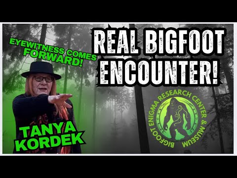 Augenzeugenbericht einer Bigfoot-Begegnung vor Ort! Tanya Kordek schildert den Vorfall.