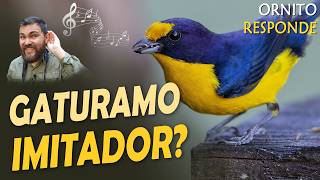 Miniatura do vídeo