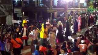 preview picture of video 'Destape Altamirano Xantolo 2014 - Tantoyuca, Veracruz'