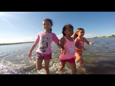 Zaeden x Nina & Malika - Never Let You Go