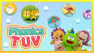 T부터 V까지! 신나게 노래하면 모든 알파벳 마스터!ㅣABC파닉스챈트ㅣ규리와 함께 즐겁게 파닉스를 배워봐요!