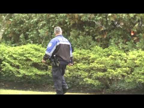 Westchester Teen Takeover