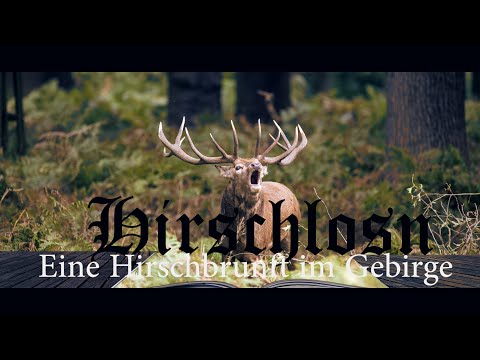 Hirschlosn - Eine Hirschbrunft im Gebirge