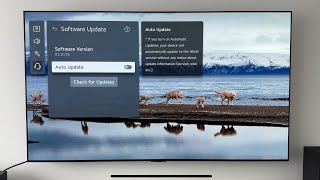 LG OLED Update 03.30.76, i had ISSUES, will you?