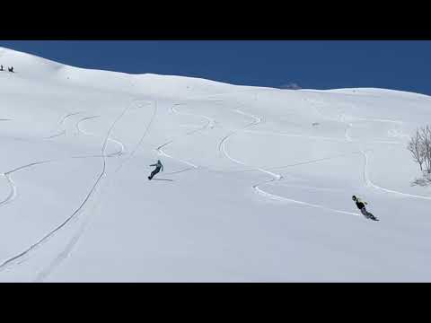 Spring POW - LOTTE ARAI