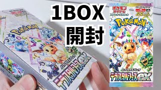 テラスタルフェスex1BOX、代わりに開封しときますね～【ポケカ】