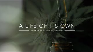 'A LIFE OF ITS OWN' The Truth About Medical Marijuana