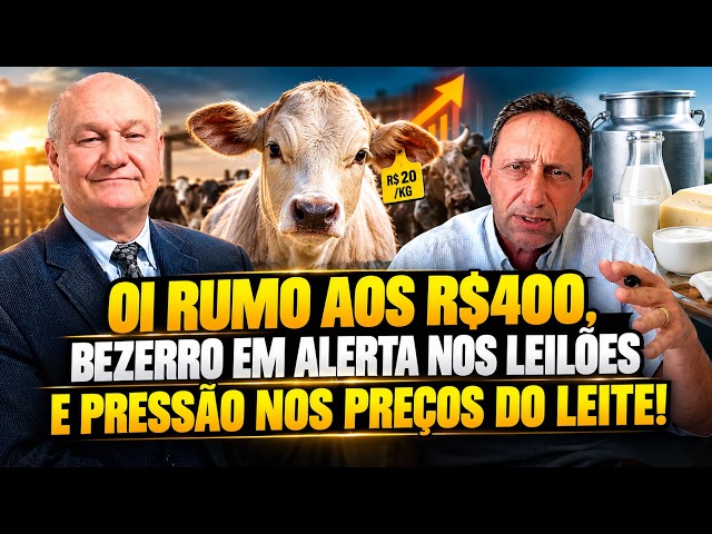 Boi Rumo aos R$400, Bezerro em Alerta nos Leilões e Pressão nos Preços do Leite!