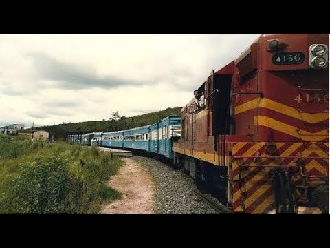 A viagem histórica do Projeto Ver de Trem para a ECO-92