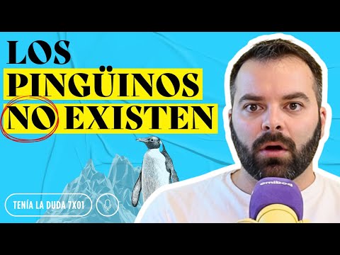¿Por qué LOS PINGÜINOS regalan PIEDRAS para LIGAR? 🐧