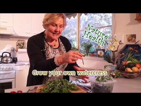 Watercress - How to grow your own at home