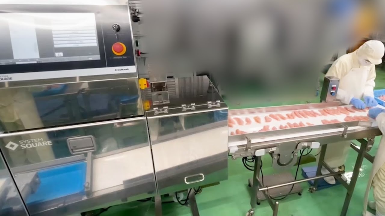 デュアルエナジーX線検査機│ささみ肉の検査
