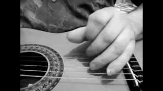 Jeff Healey ( acoustic guitar )