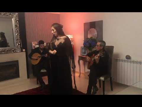 Fado Cravo Inês Martins