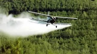 Does Aerial Mosquito Spraying Increase the Risk of Autism?