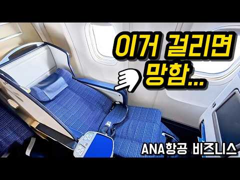 도쿄 하네다-서울 김포 ANA항공 비즈니스 클래스 탑승 후기: 고가의 황금 노선은 과연 값어치를 할까?
