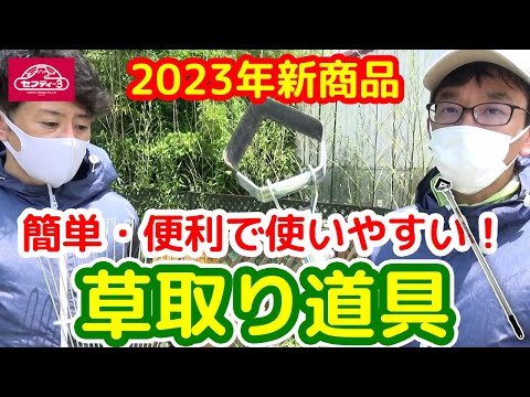 Loppers: テストと購入のアドバイス 庭の練習