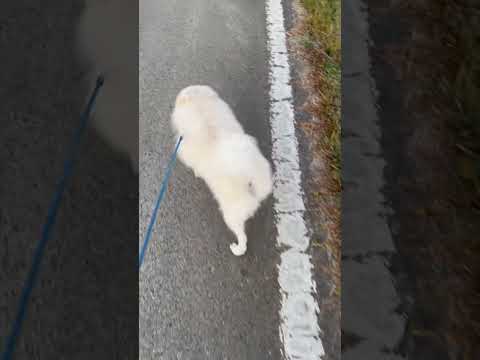 Ahora tengo que hacerme una tomografía computarizada en el hospital🏥😇