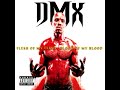 DMX - Heat