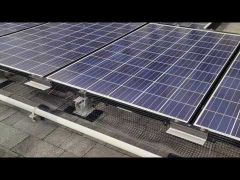 Protecting Solar Panels from Pigeons in Spring Lake, NJ