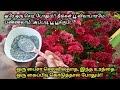 காடு மாதிரி சாமந்தி பூக்கள் பூக்க செ�