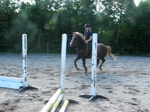 Hoppdressyr i Kråksjö, Amanda & Billy