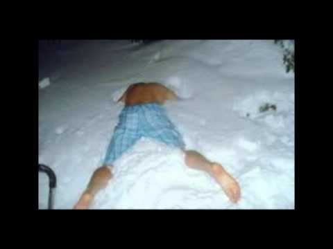 JL X ZOSEK X GELO - HIPOTERMIA