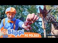 Chodźmy Do Zoo Cz 2 Blippi Po Polsku Nauka I Zabawa Dla Dzieci