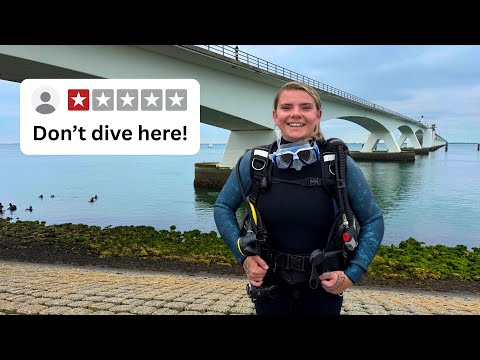 Diving in The Netherlands... Is It Worth It?