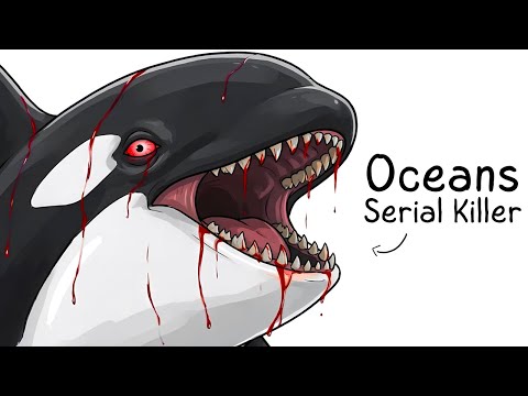 Why it Sucks To Be Born As an Orca