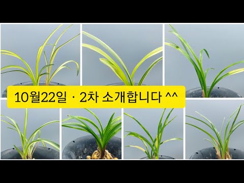 유튜브 썸네일